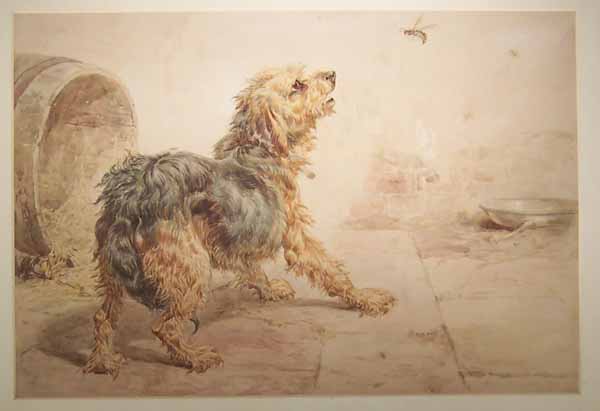 A Terrier (after Landseer)